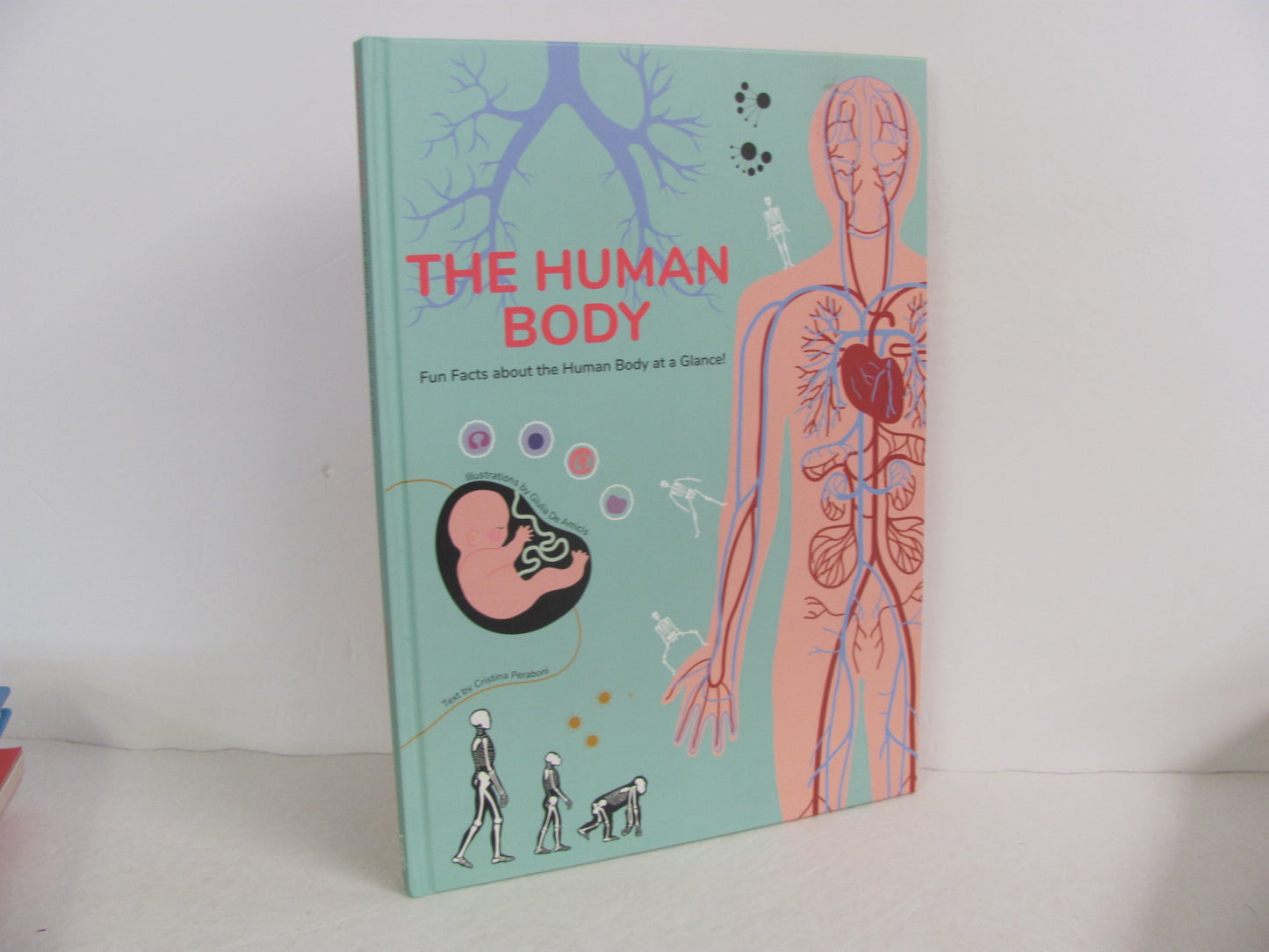 The Human Body VMB Publishers Pre-Owned Peraboni Biology/Human Body Books