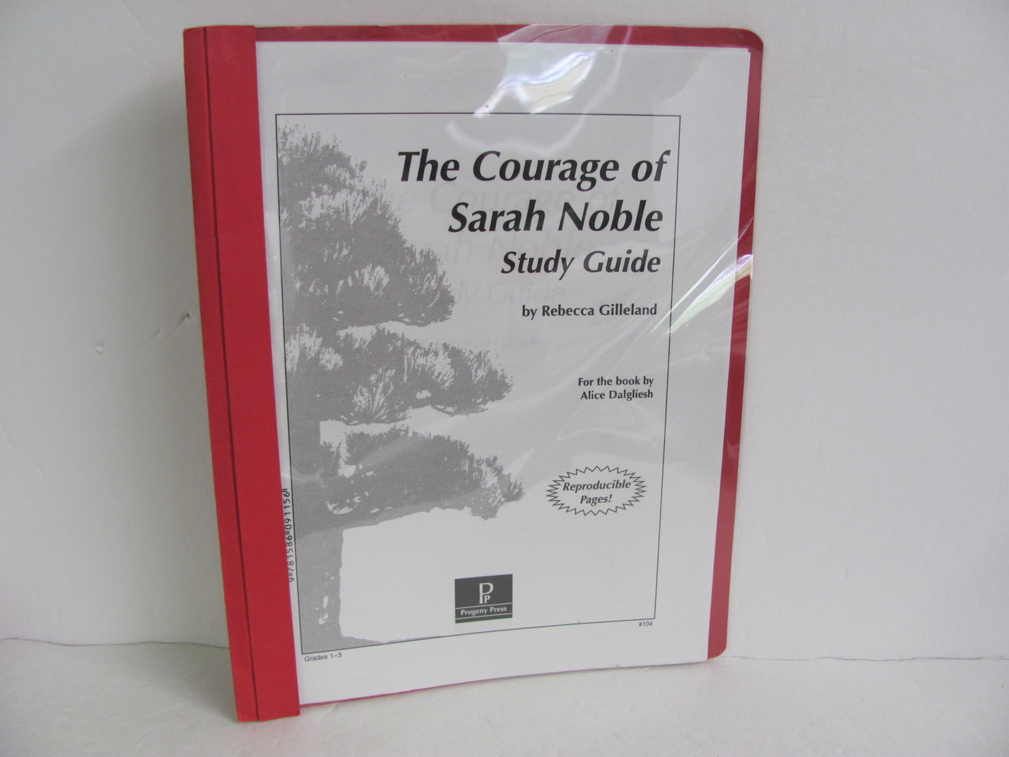 The Courage of Sarah Noble Progeny Press Dalgliesh Fiction Books