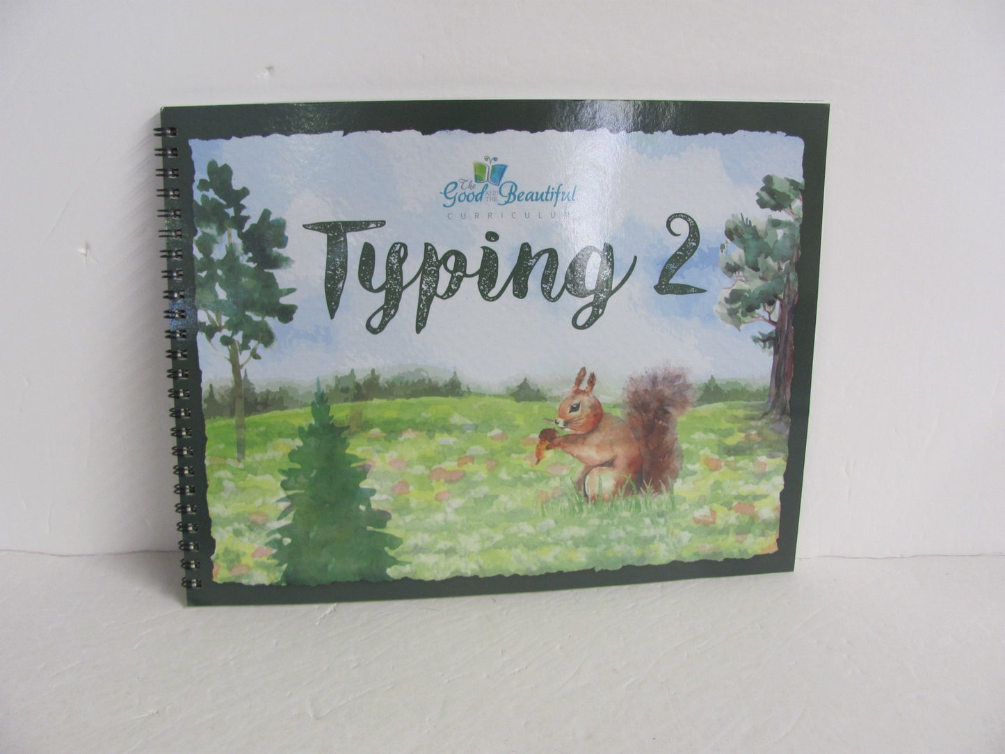 Typing 2 Good and the Beautiful Pre-Owned Electives (Books)