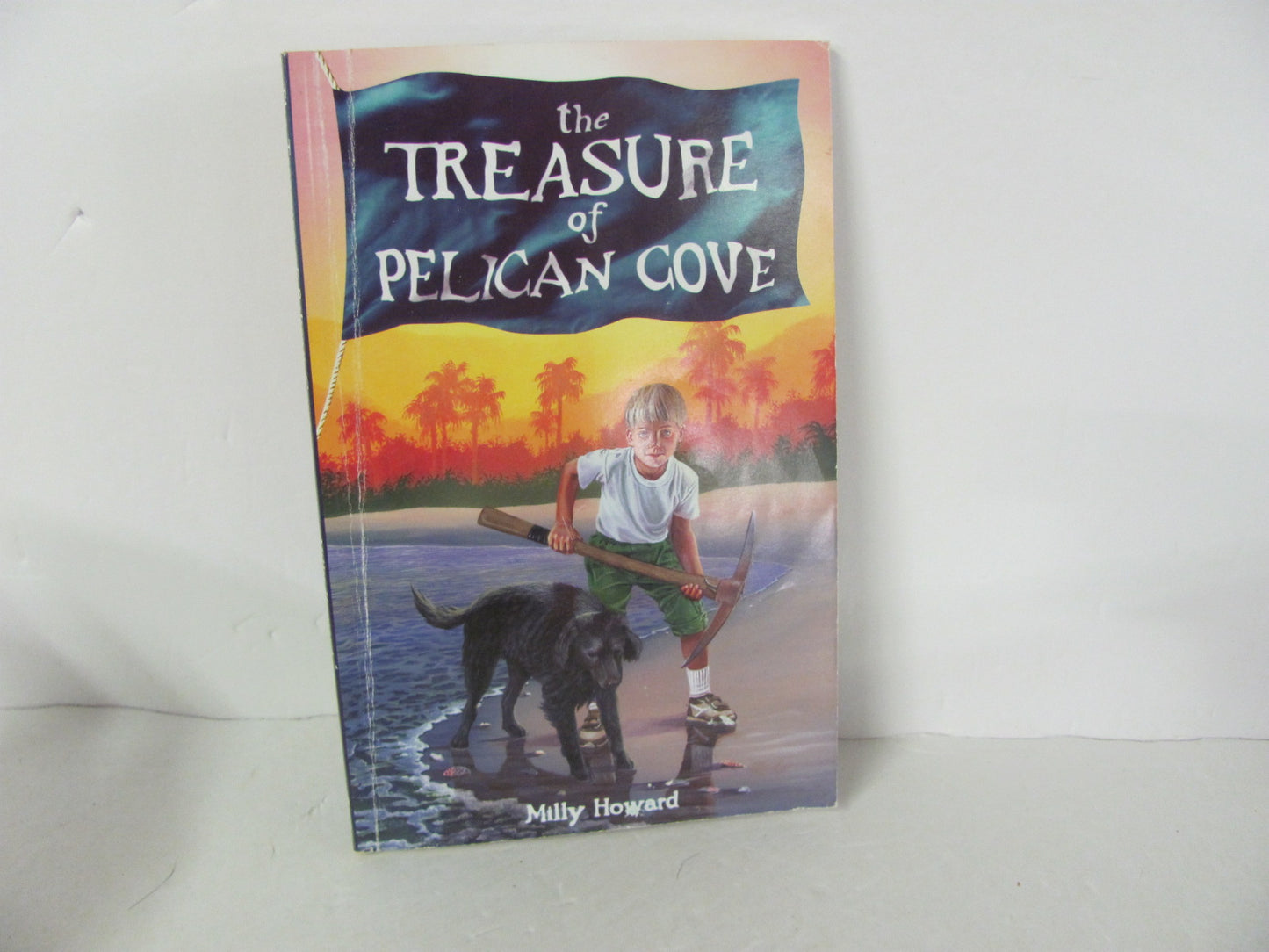 The Treasure of Pelican Cove BJU Press Pre-Owned Howard Fiction Books