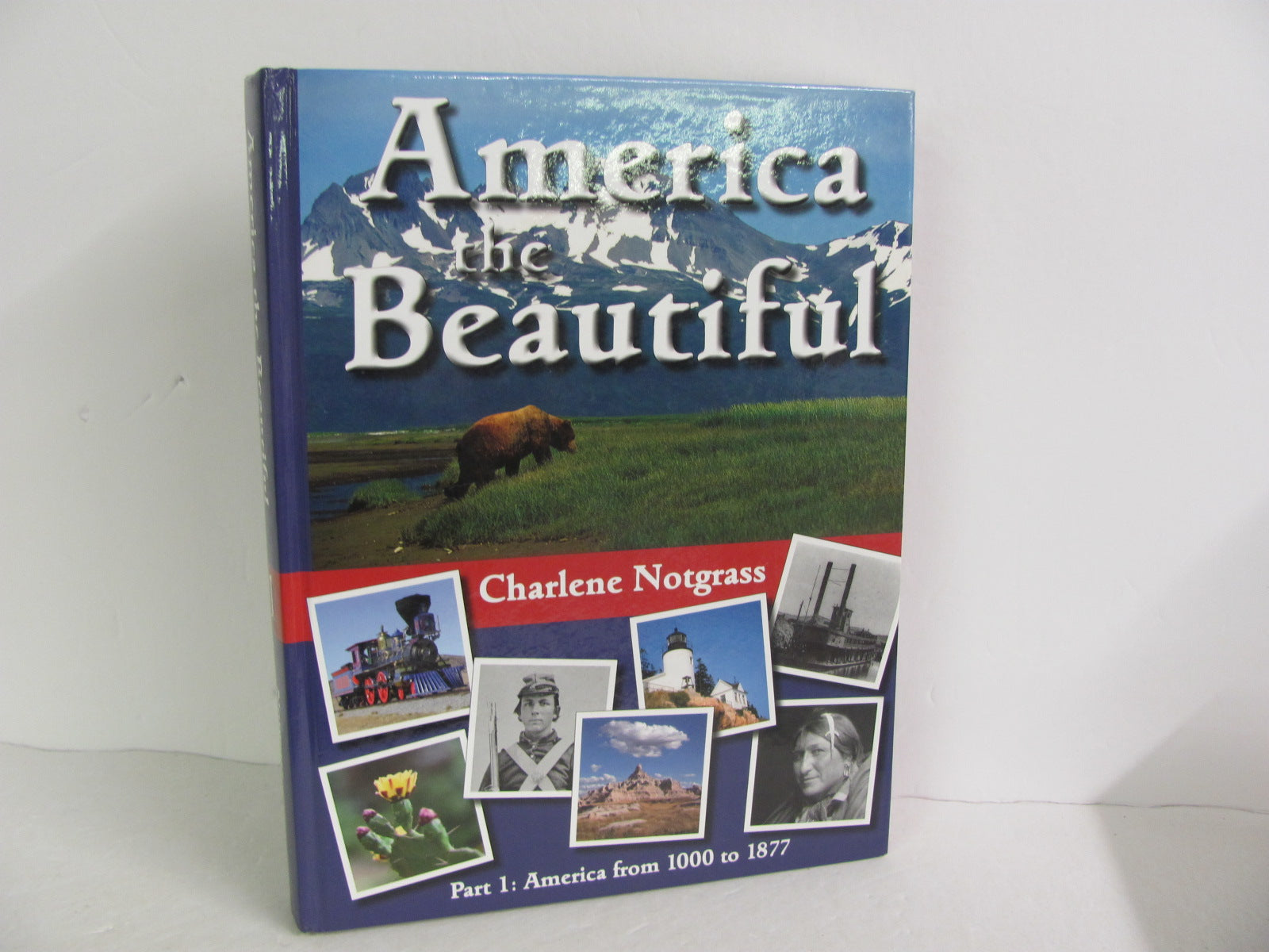 America The Beautiful Notgrass Student Book Pre-Owned Notes History ...